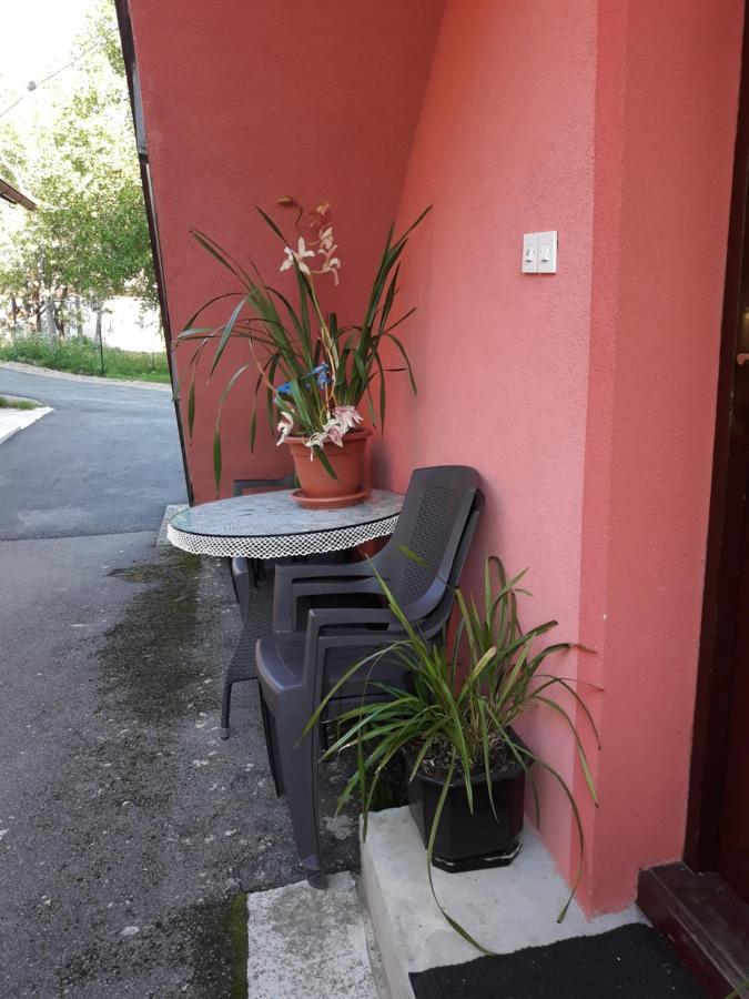 Apartment Biljevina