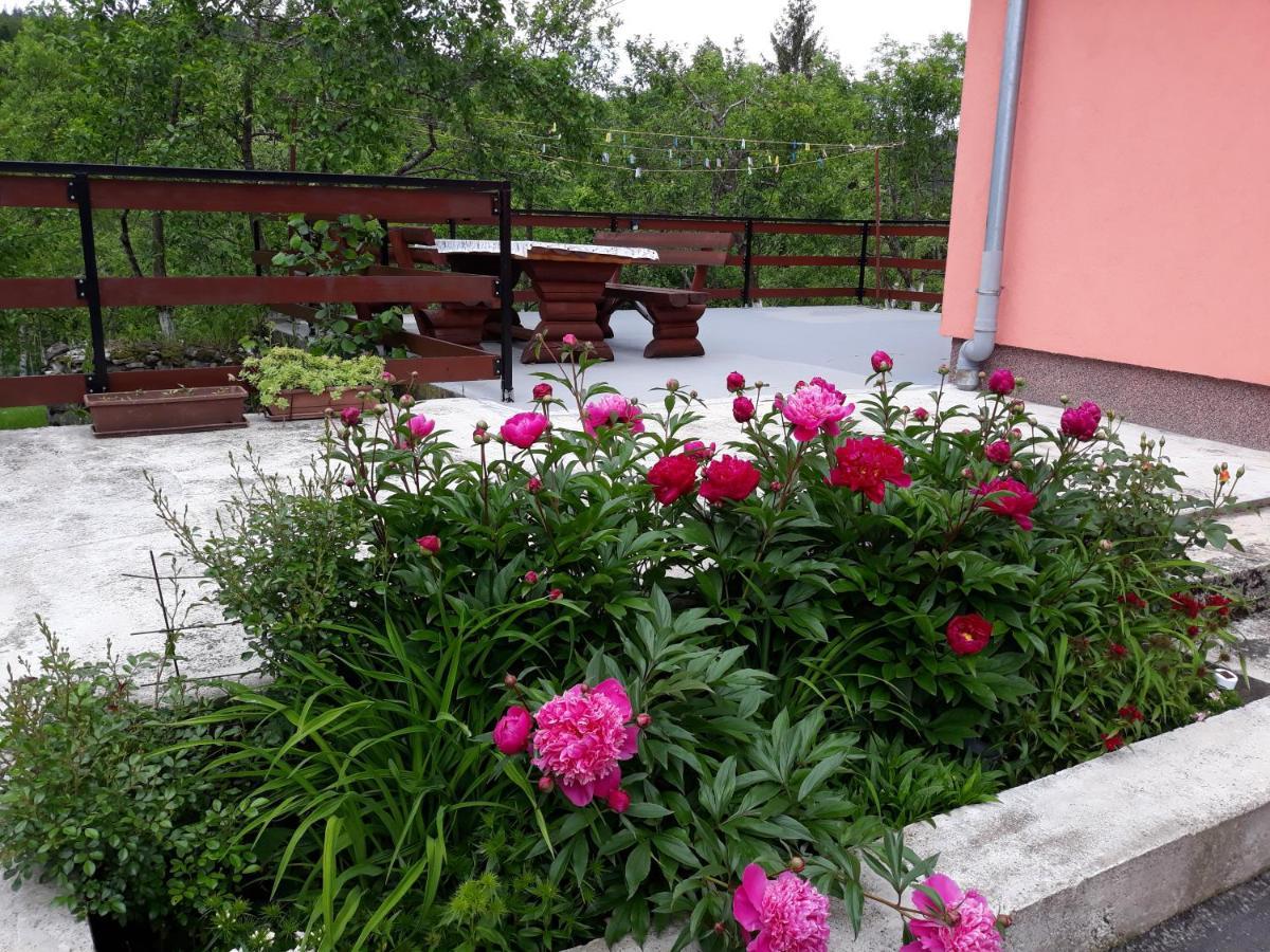 Apartment Biljevina