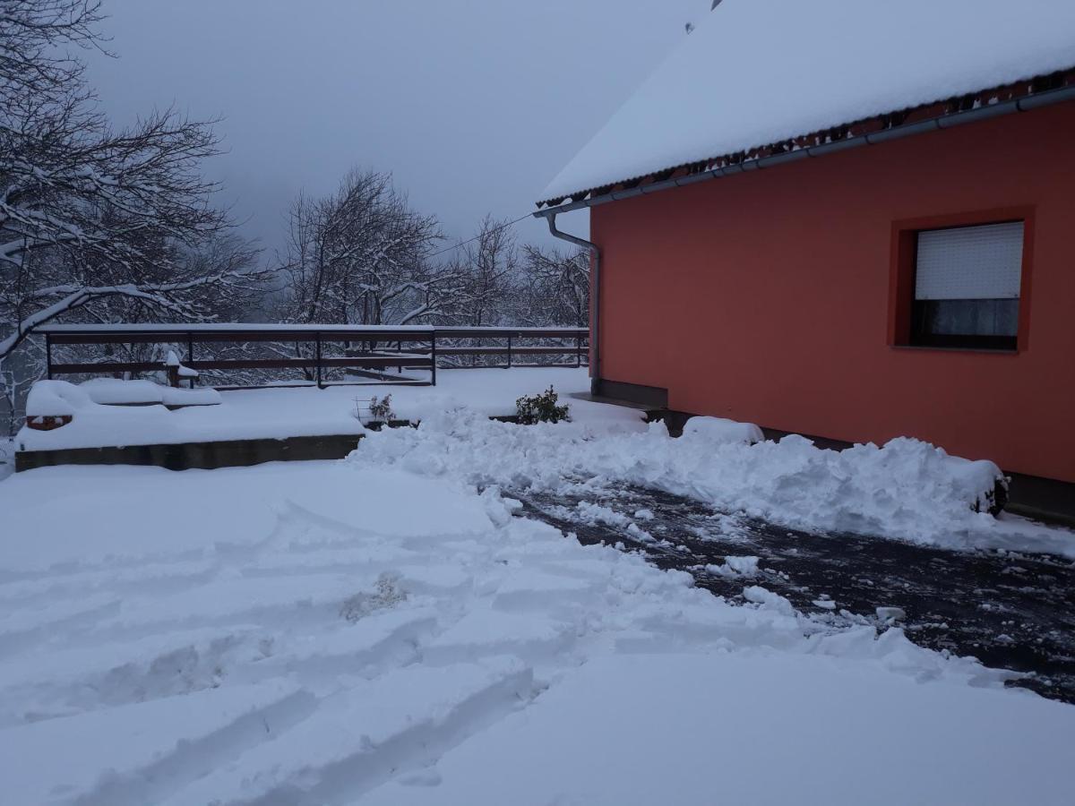 Apartment Biljevina