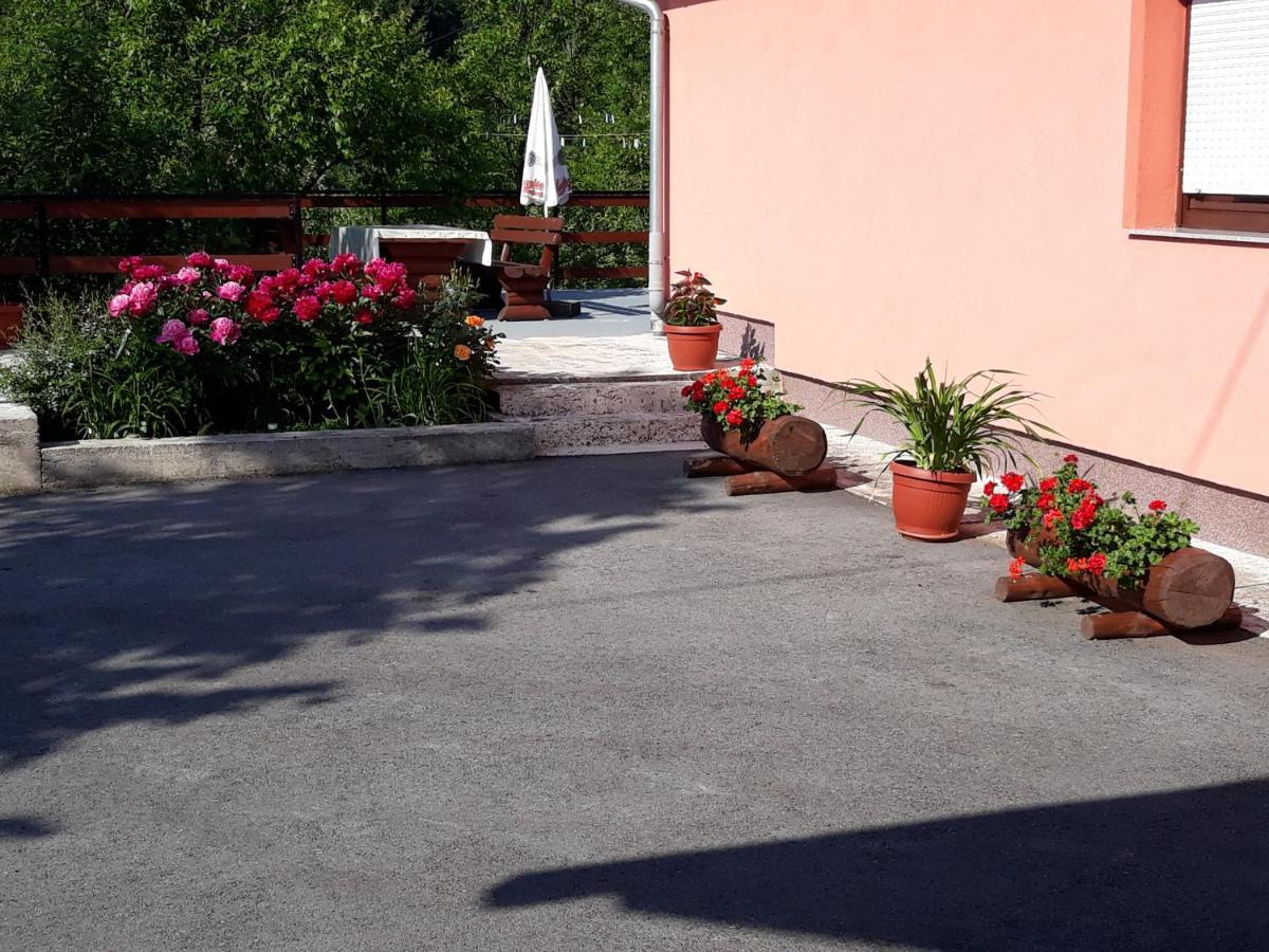 Apartment Biljevina
