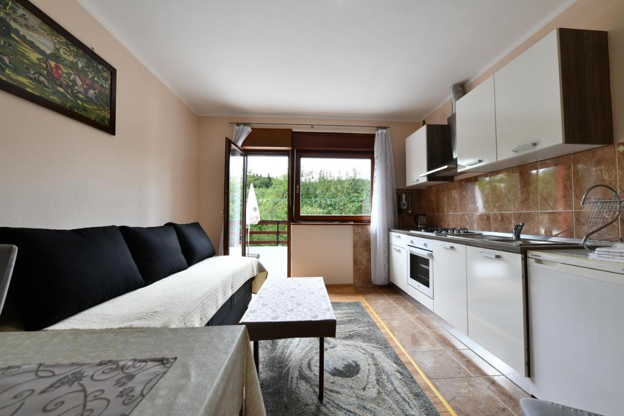 Apartment Biljevina