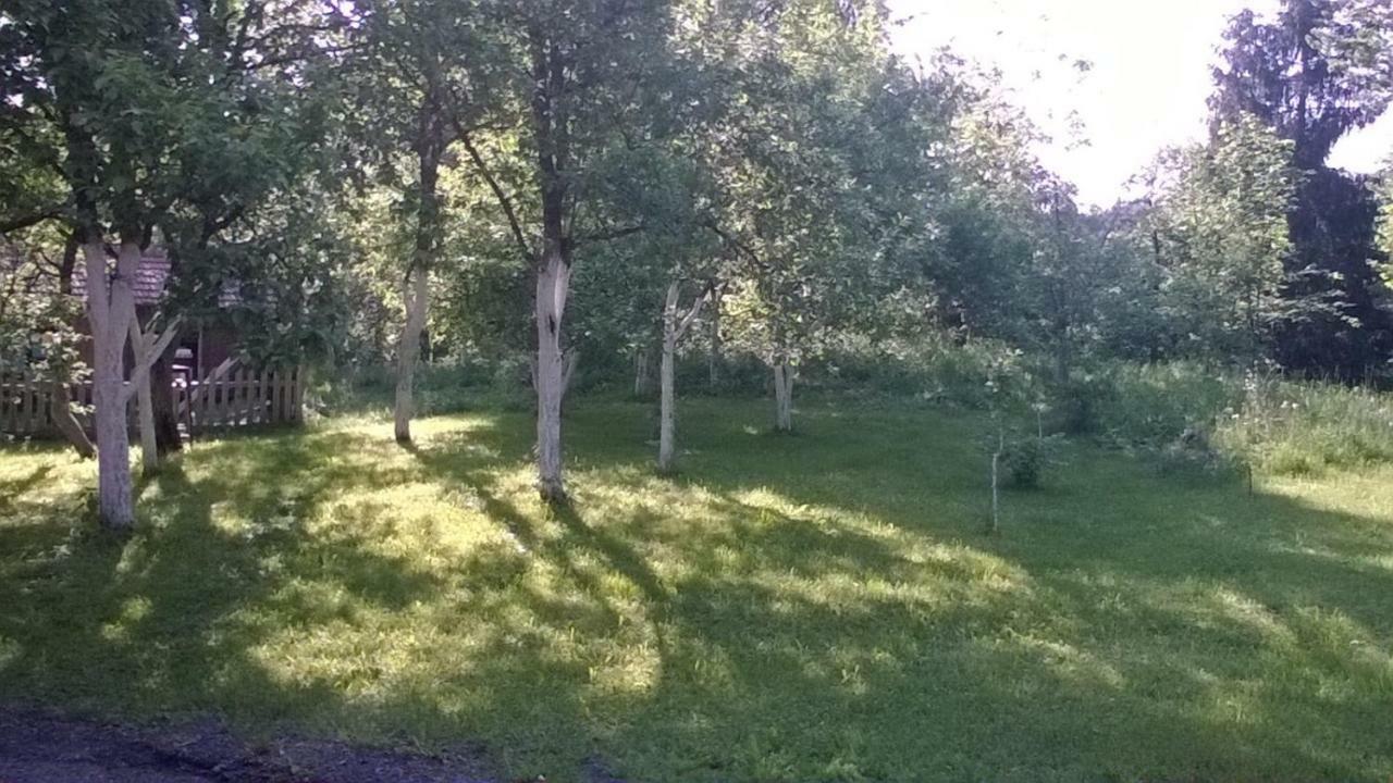 Biljevina * Saborsko