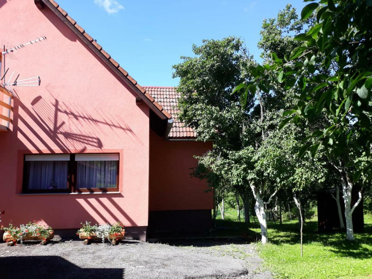 Biljevina Apartment *